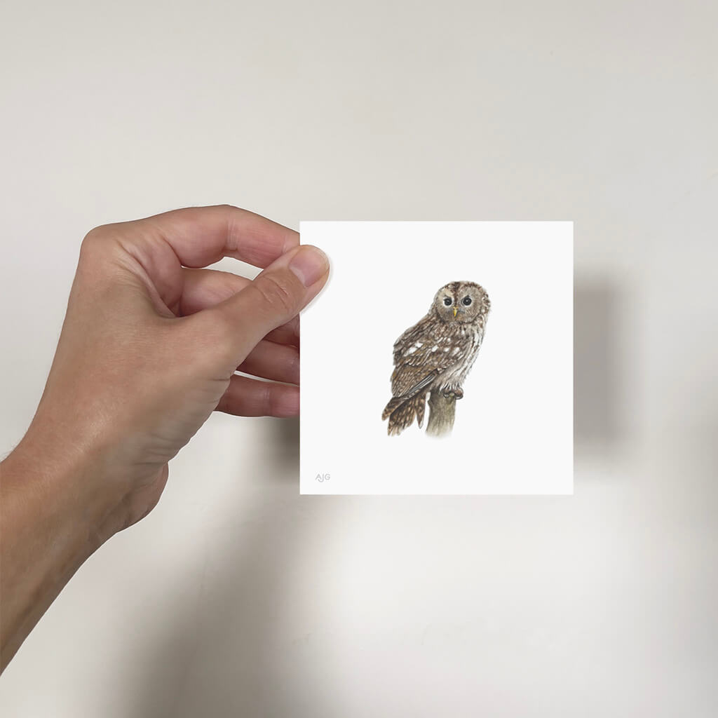Hand holding a miniature painting of an owl on a plain background