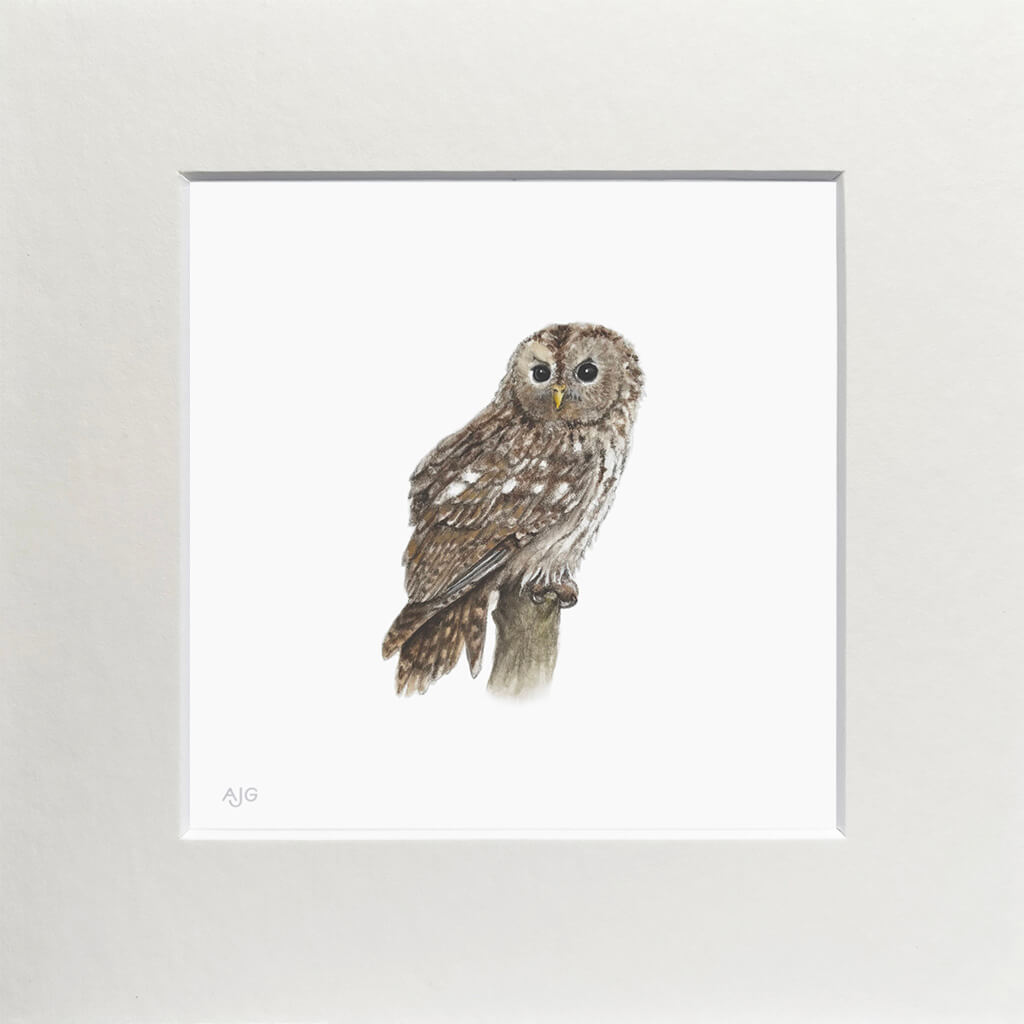 Matted artwork of a detailed owl illustration on a white background