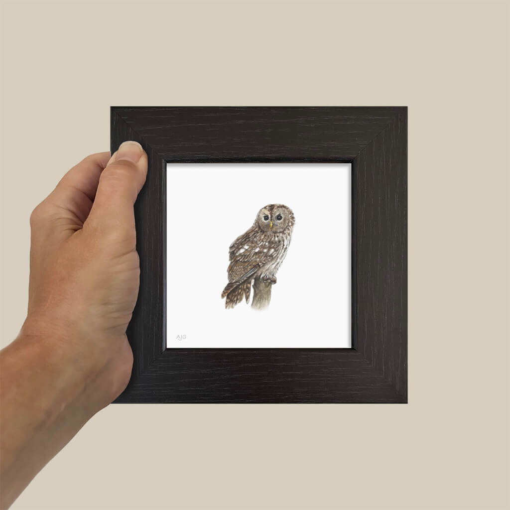 Hand holding a small framed picture of an owl against a beige background