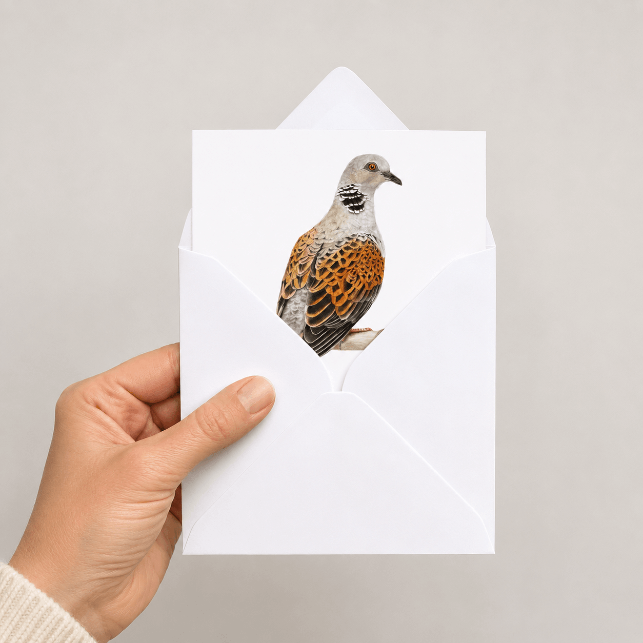 Hand holding a white envelope with a turtle dove bird illustration on a grey background
