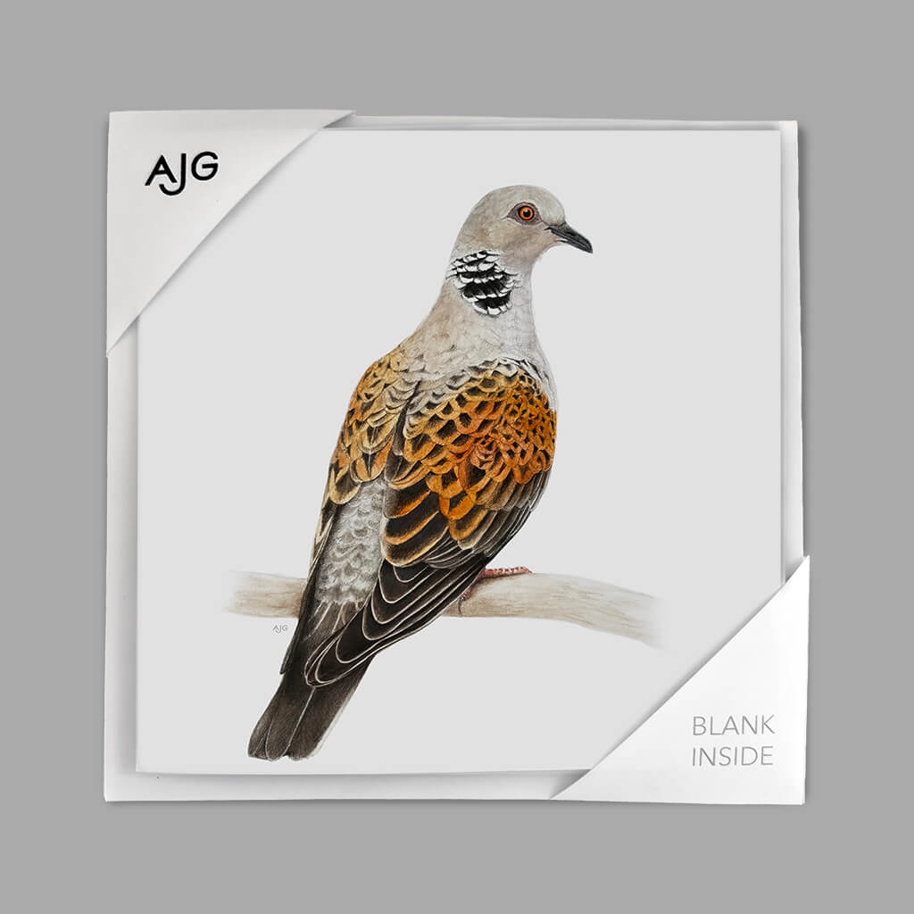Greeting card with a bird illustration on a grey background