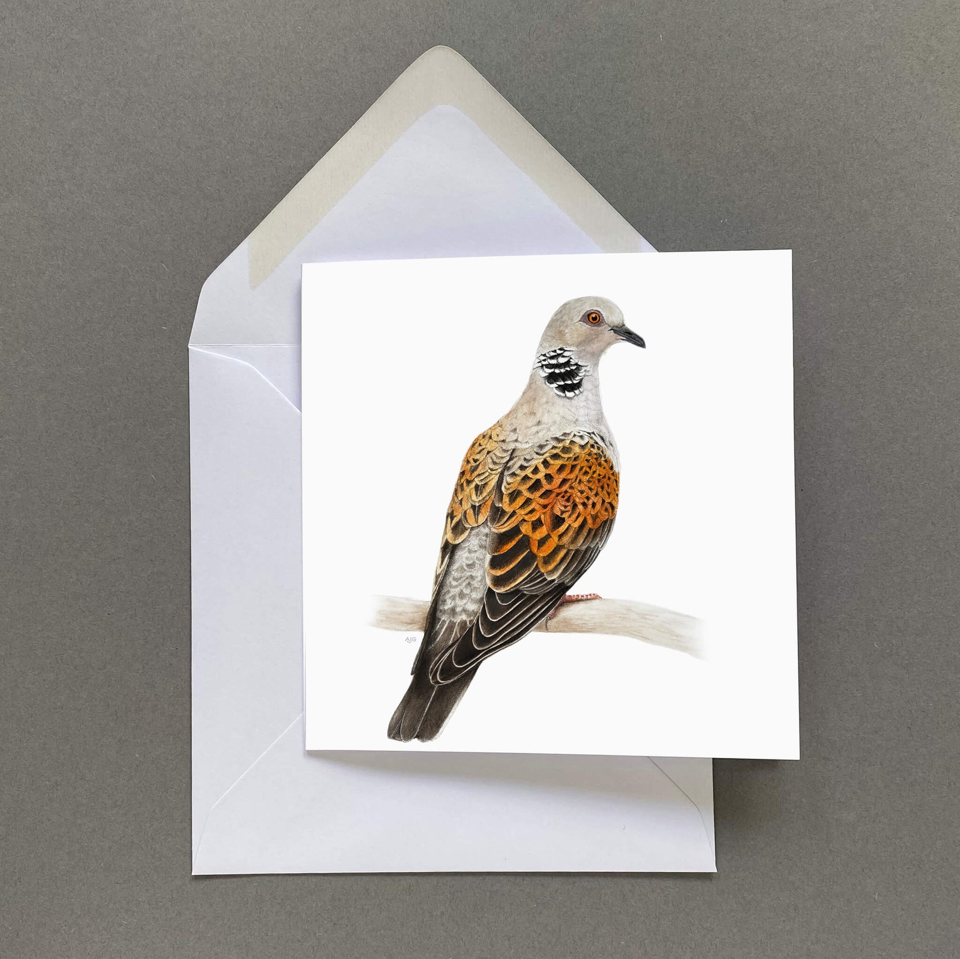Greeting card with a turtle dove bird design on a white envelope against a grey background