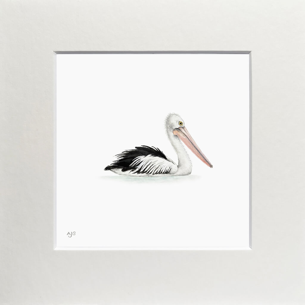 Matted artwork of a pelican on a white background