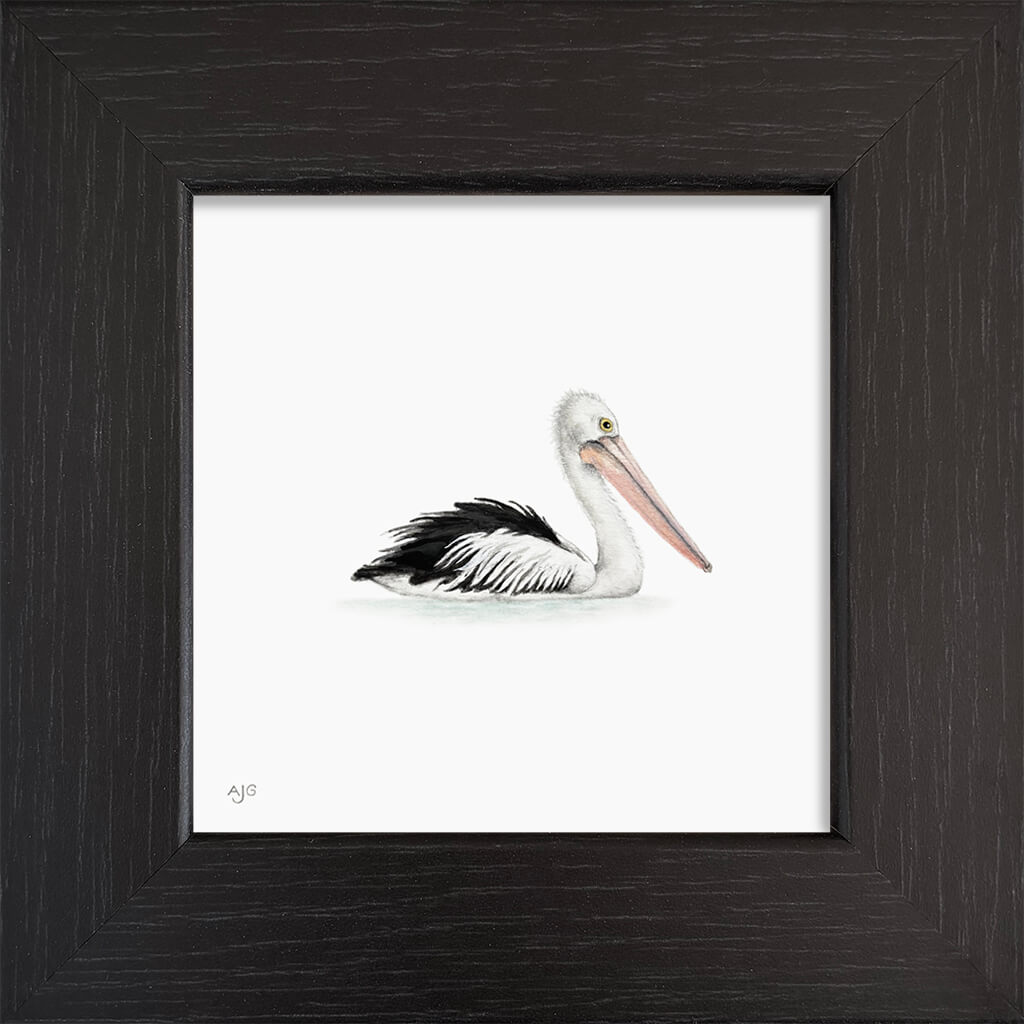 Framed artwork of a pelican on a white background
