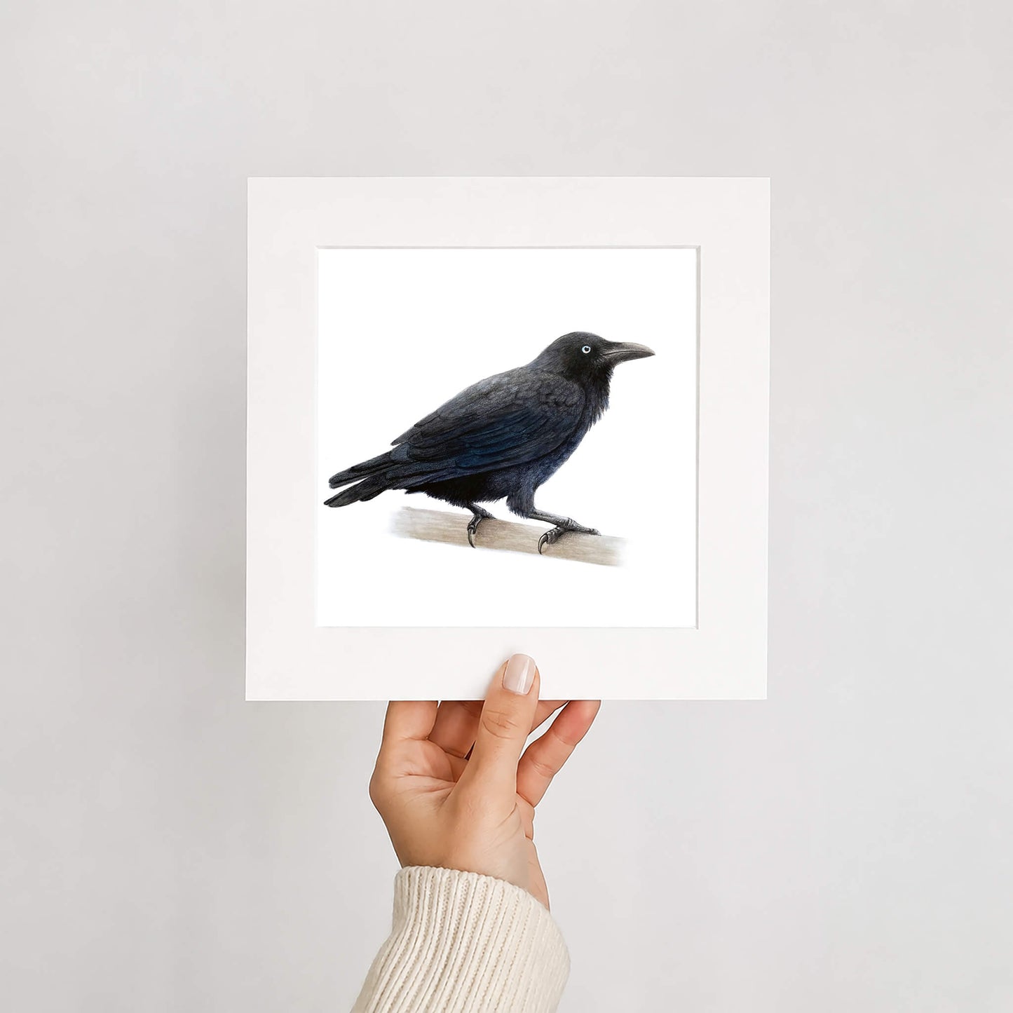 Framed print of an Australian raven on a white background held by a hand.