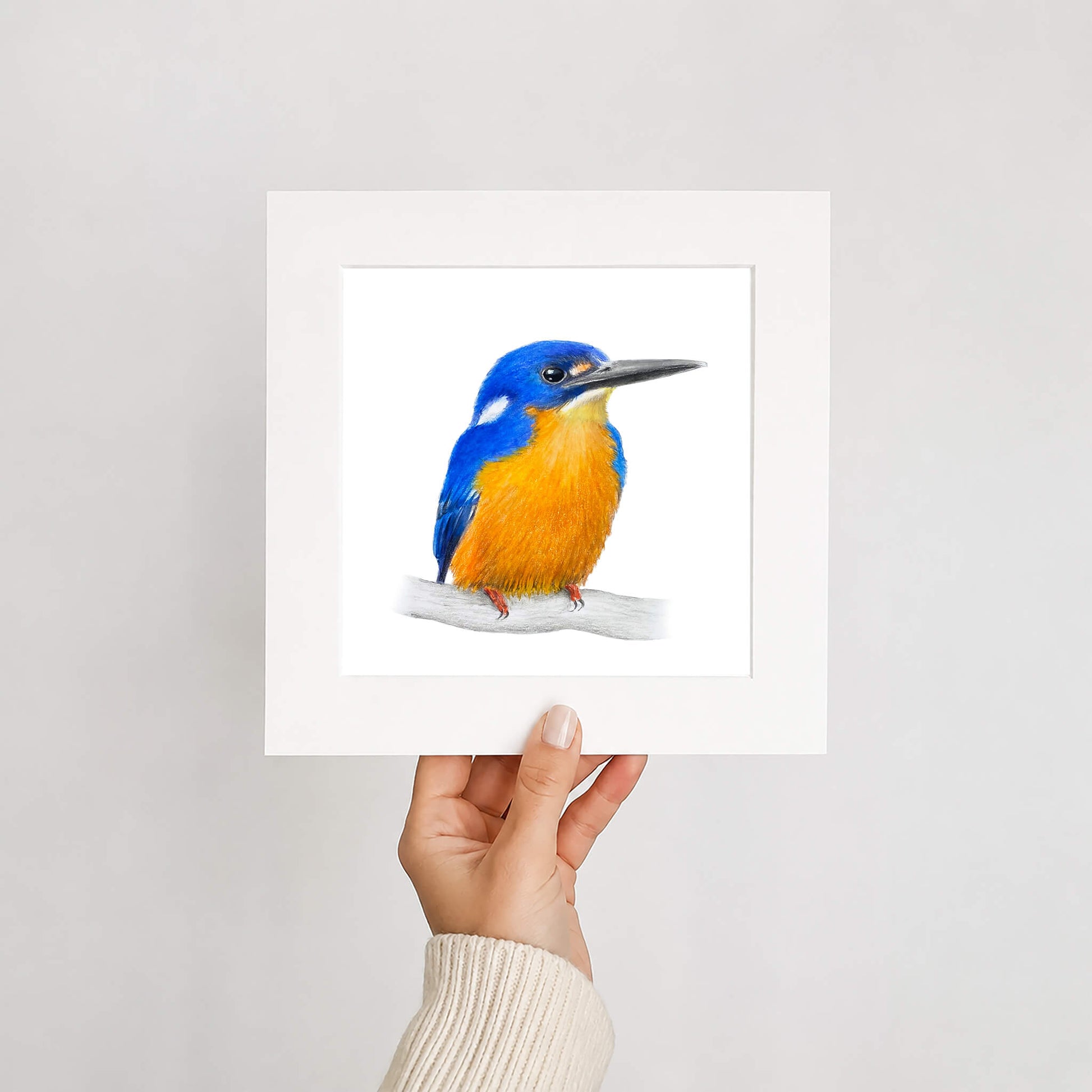 Hand holding a print of an azure kingfisher bird with a white frame against a light gray background