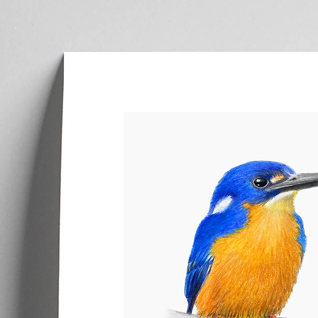 Giclée fine art print of an Azure Kingfisher on a pale grey background. This image shows a section, to highlight the detail.