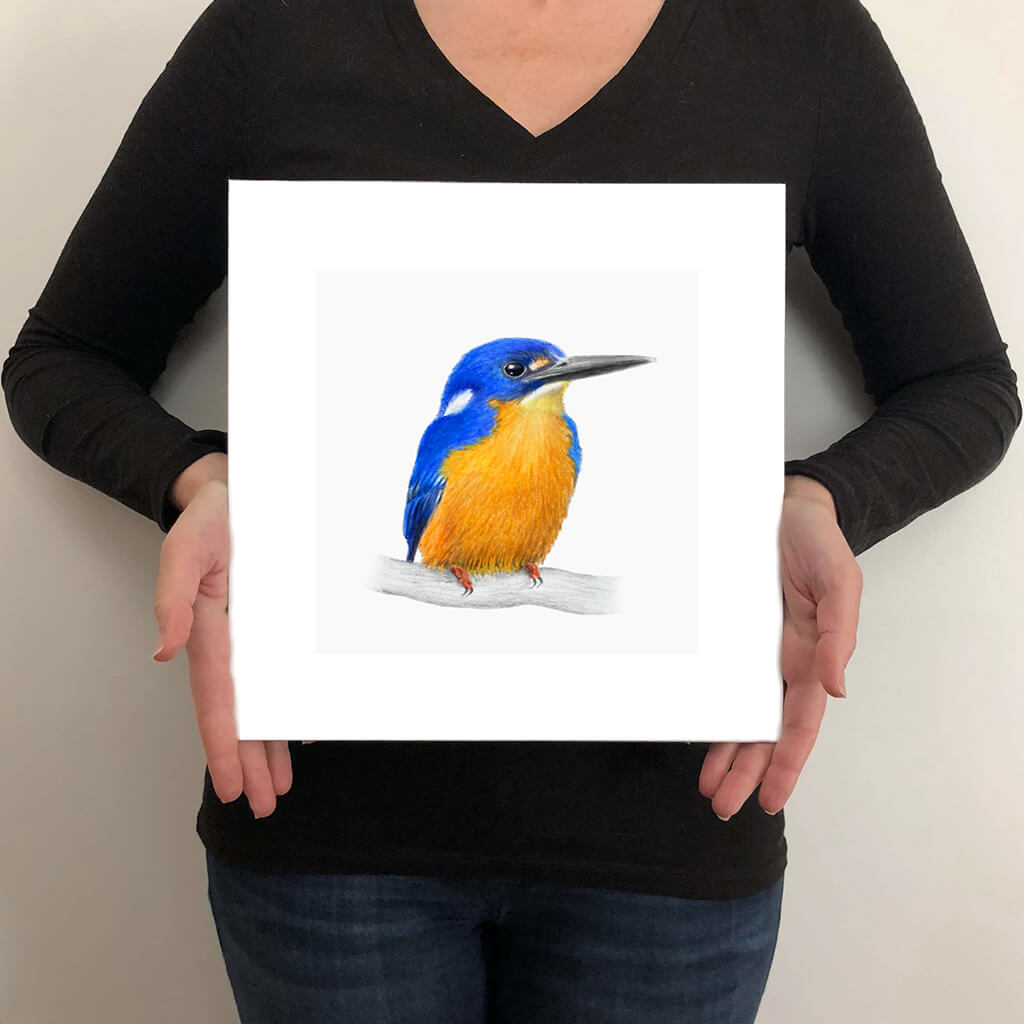 A giclée fine art print on paper of an Azure Kingfisher bird on a light grey background. This image illustrates the print size.