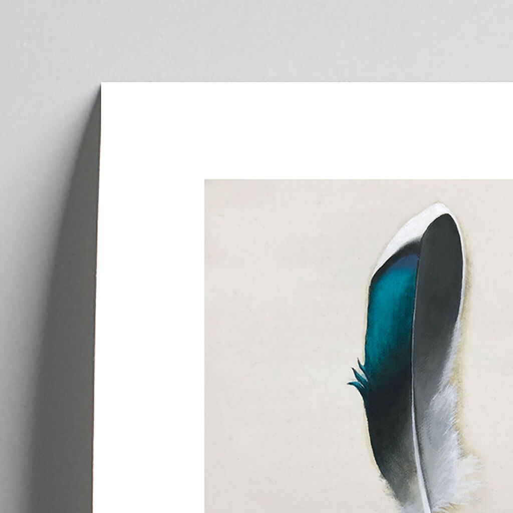 Giclée fine art print of a feather on a pale grey background. This image shows a section, to highlight the detail.