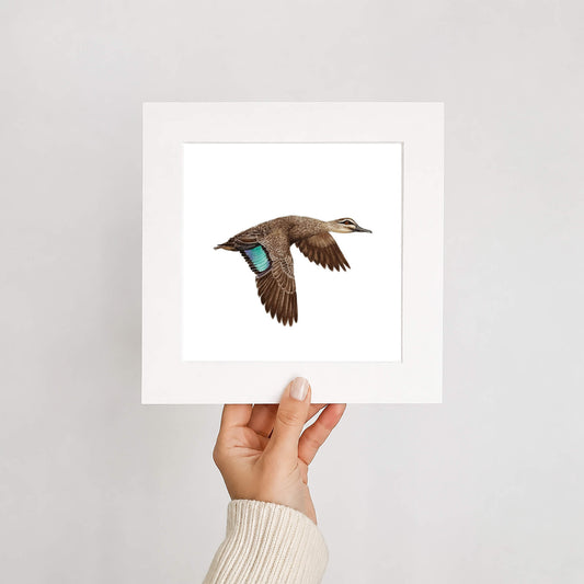 Hand holding a framed print of a duck on a plain background