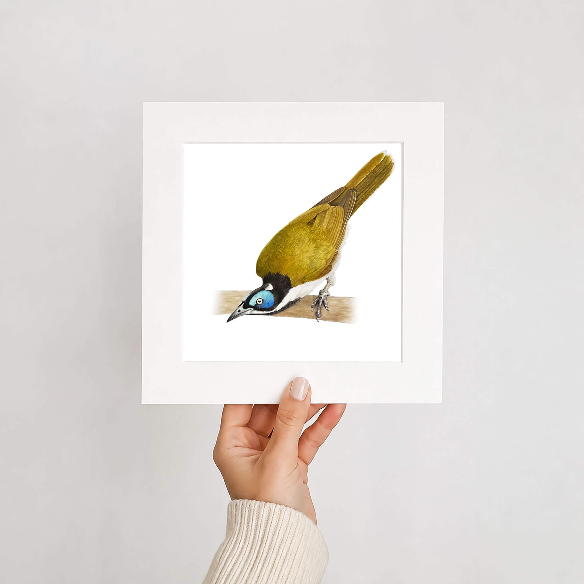 Hand holding a framed print of a green bird on a branch against a white background