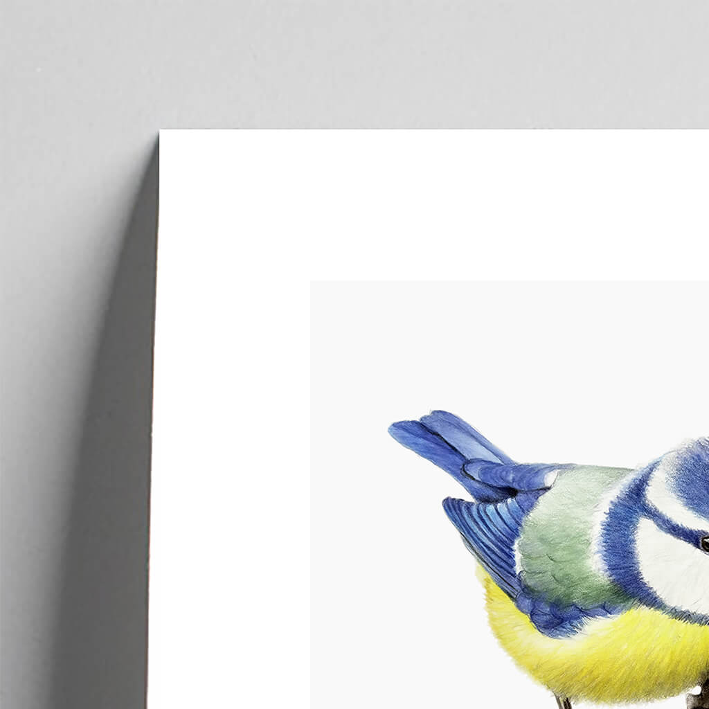 Giclée fine art print of a blue tit on a pale grey background. This image shows a section, to highlight the detail.