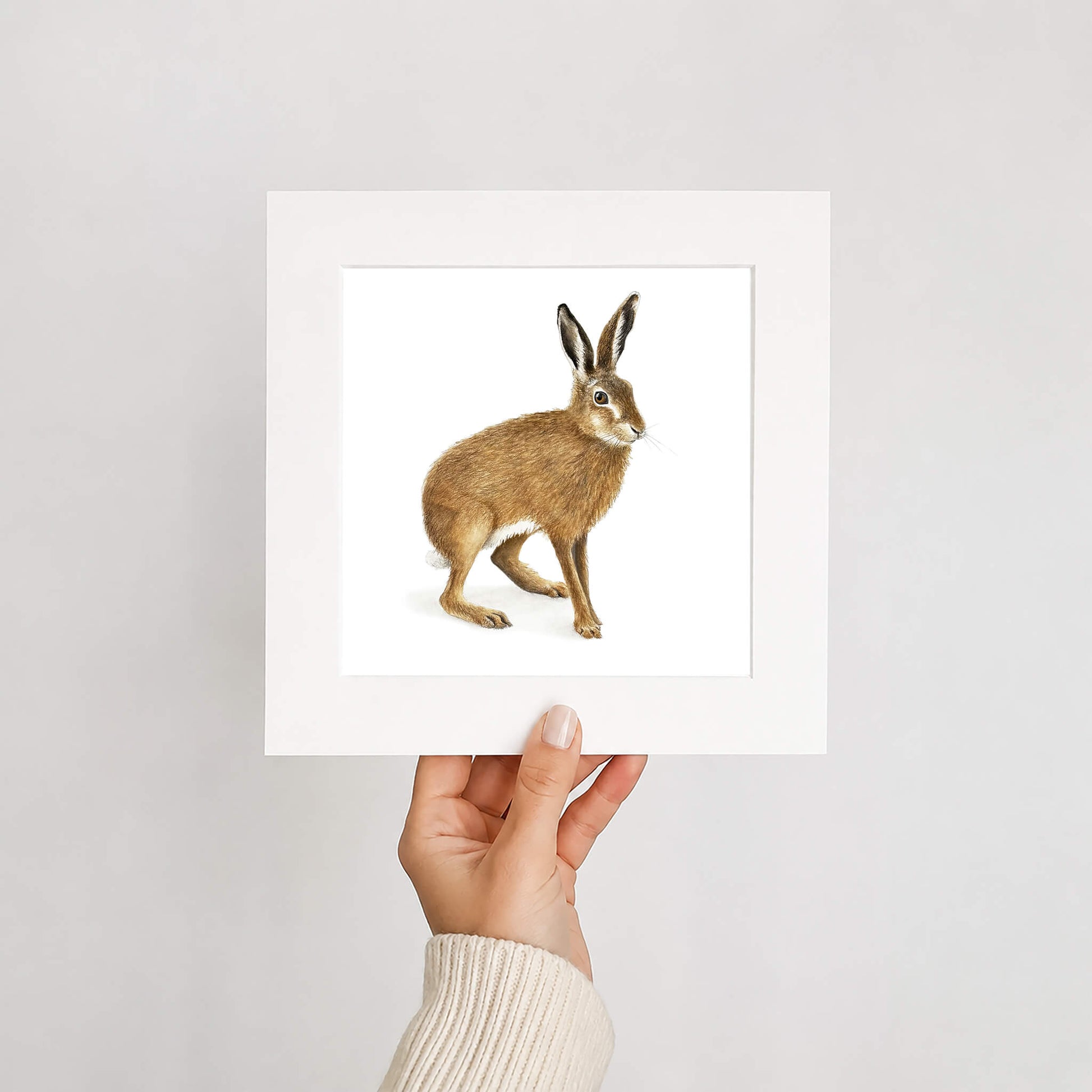 Brown hare print held by hand
