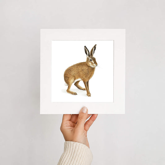 Brown hare print held by hand