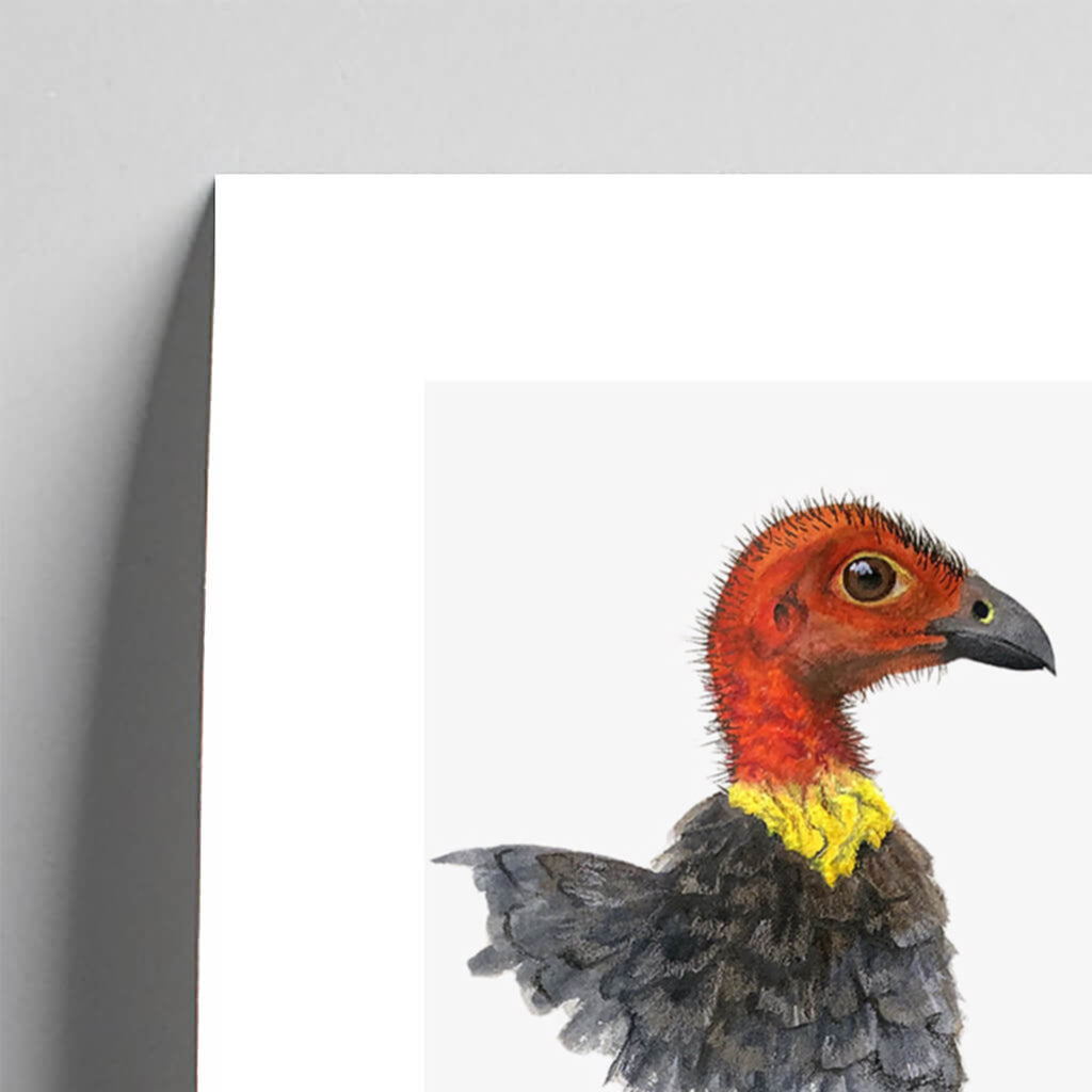 Giclée fine art print of a bush turkey on a pale grey background. This image shows a section, to highlight the detail.