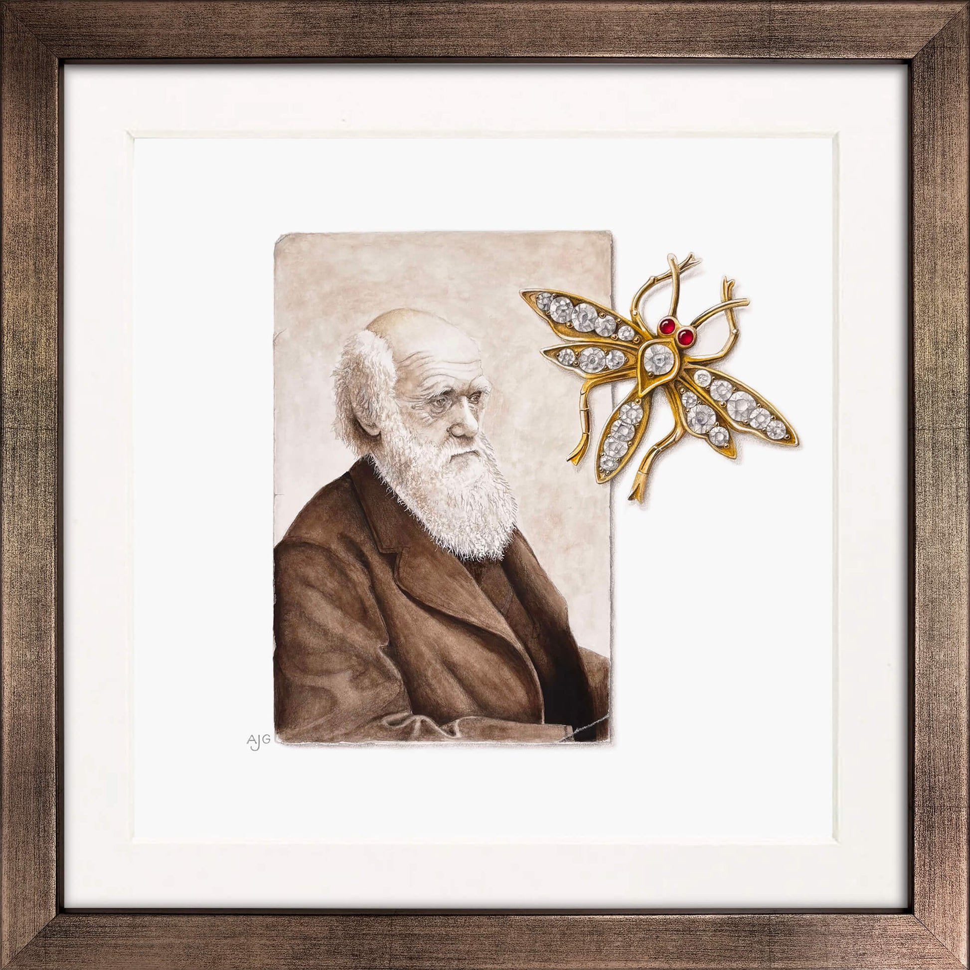Framed portrait of Charles Darwin with a decorative insect brooch on a white background