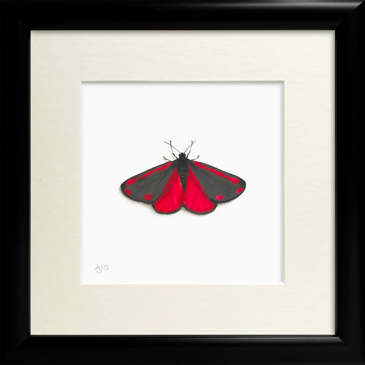 Framed artwork of a red and black butterfly on a white background