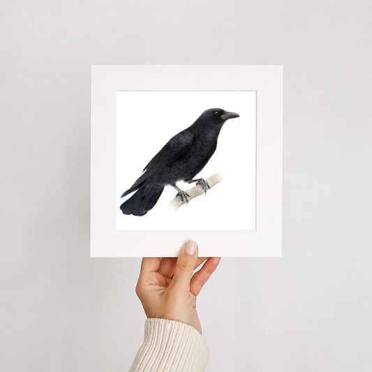 Hand holding a framed print of a black crow on a white background