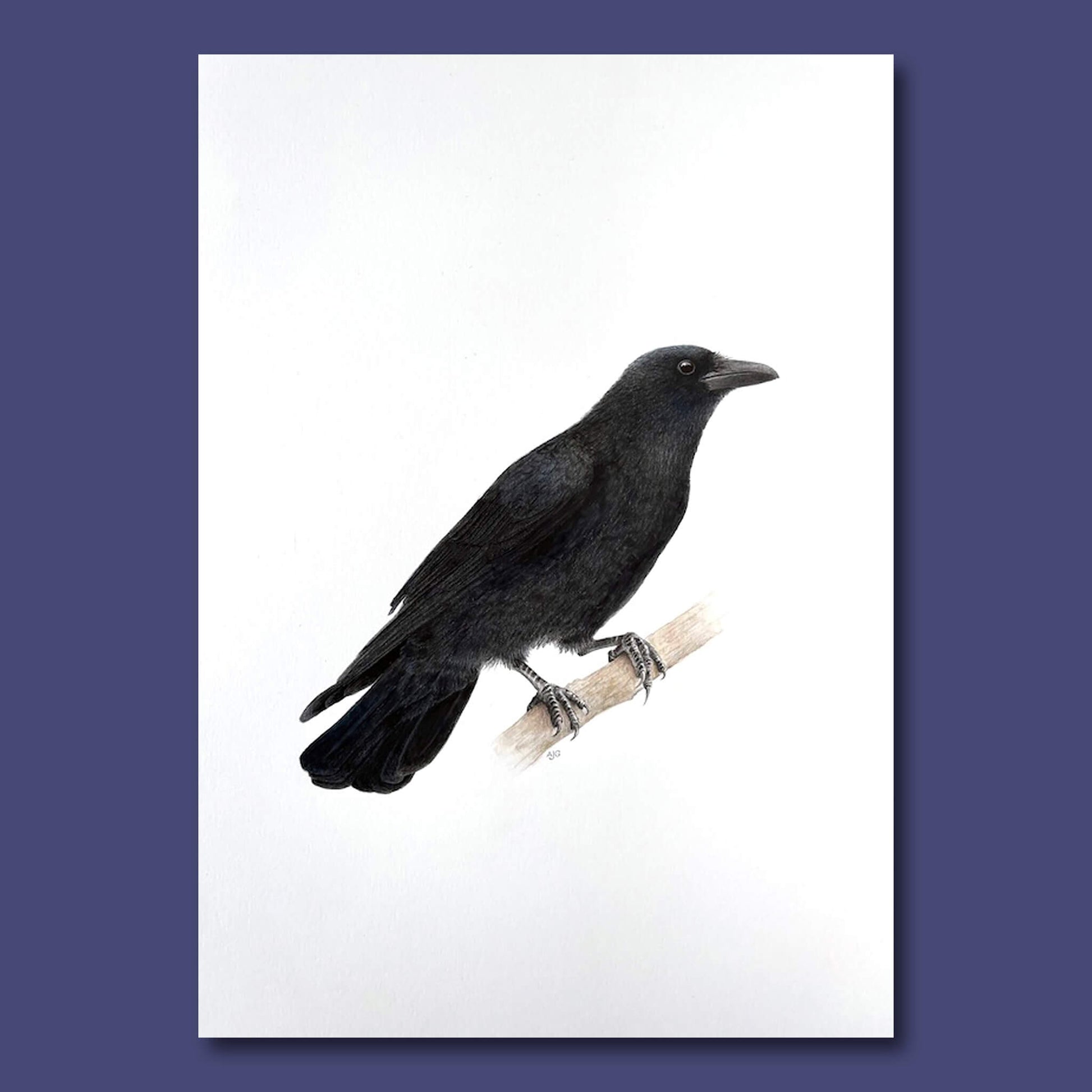 An original realistic painting of a carrion crow bird on a branch, painted in gouache and colour pencil. Artwork shown floating on a dark purple background.