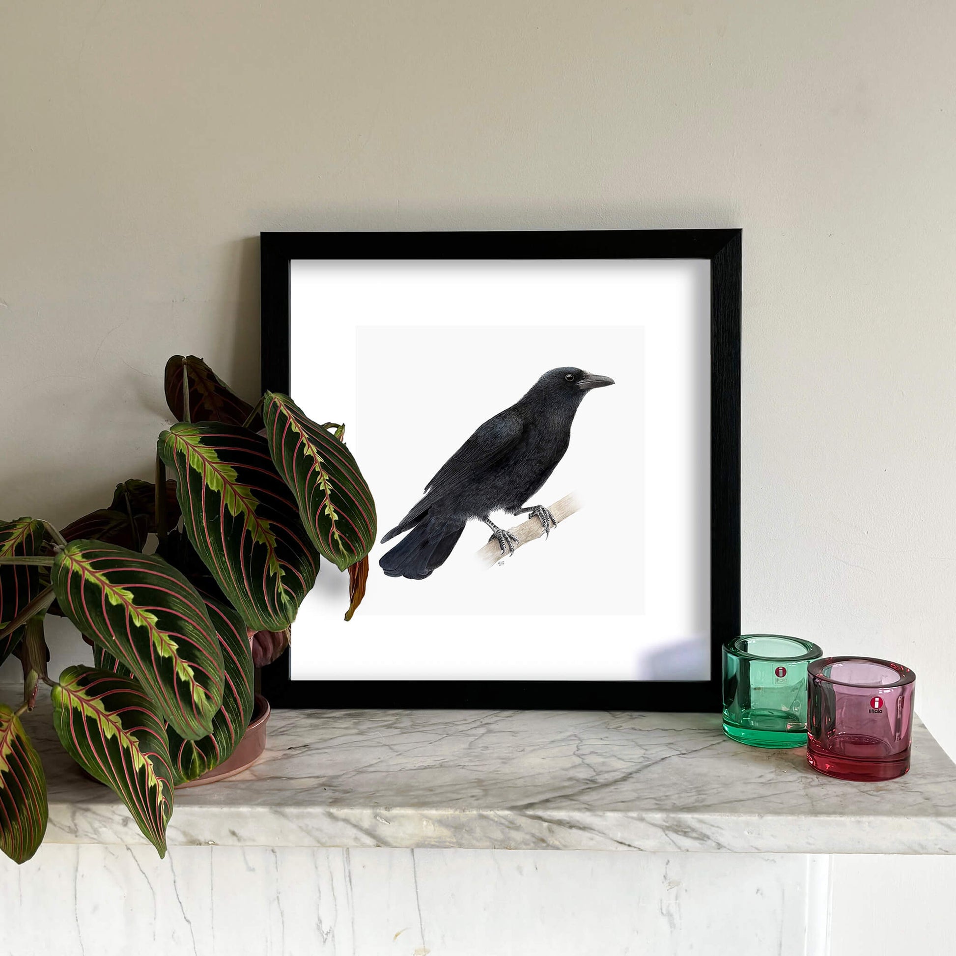 A bird giclee fine art print on paper of a crow on a light grey background. Image shows the print framed and in a room setting.