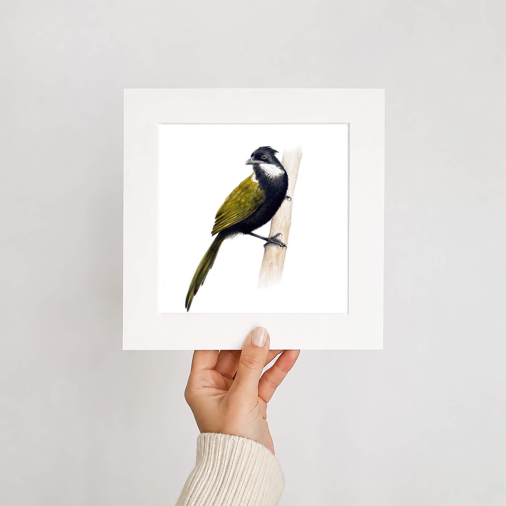 Hand holding a framed print of a bird on a white background