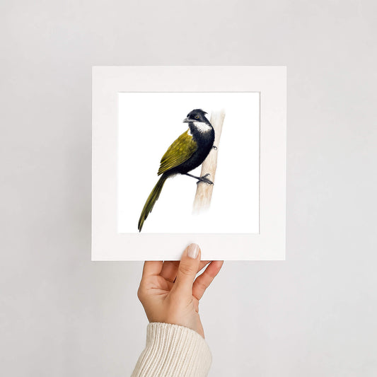 Hand holding a framed print of a bird on a white background
