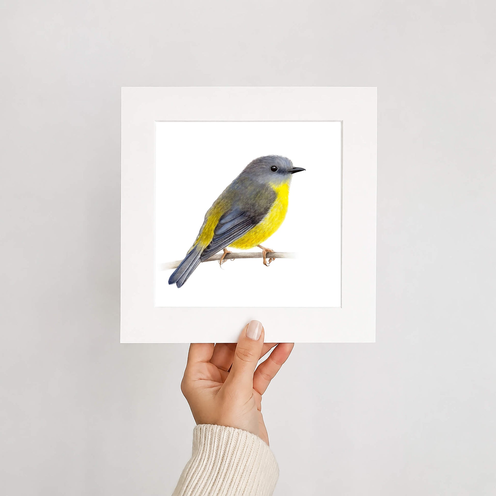 Hand holding a card with a yellow robin bird illustration on a plain background