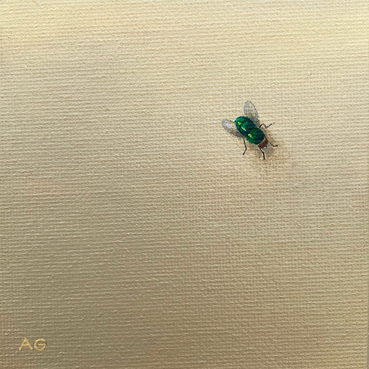 Original miniature painting of a fly on the wall