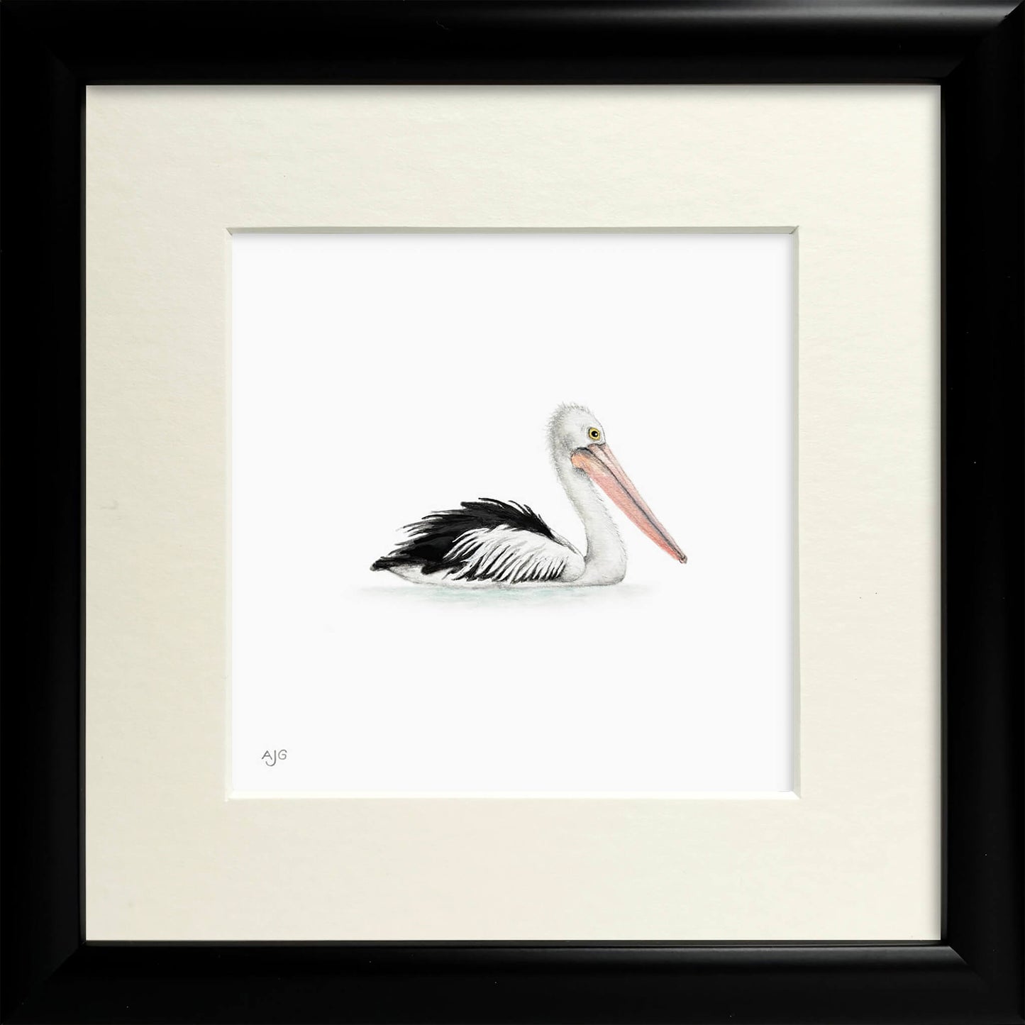 Framed painting of an Australian pelican