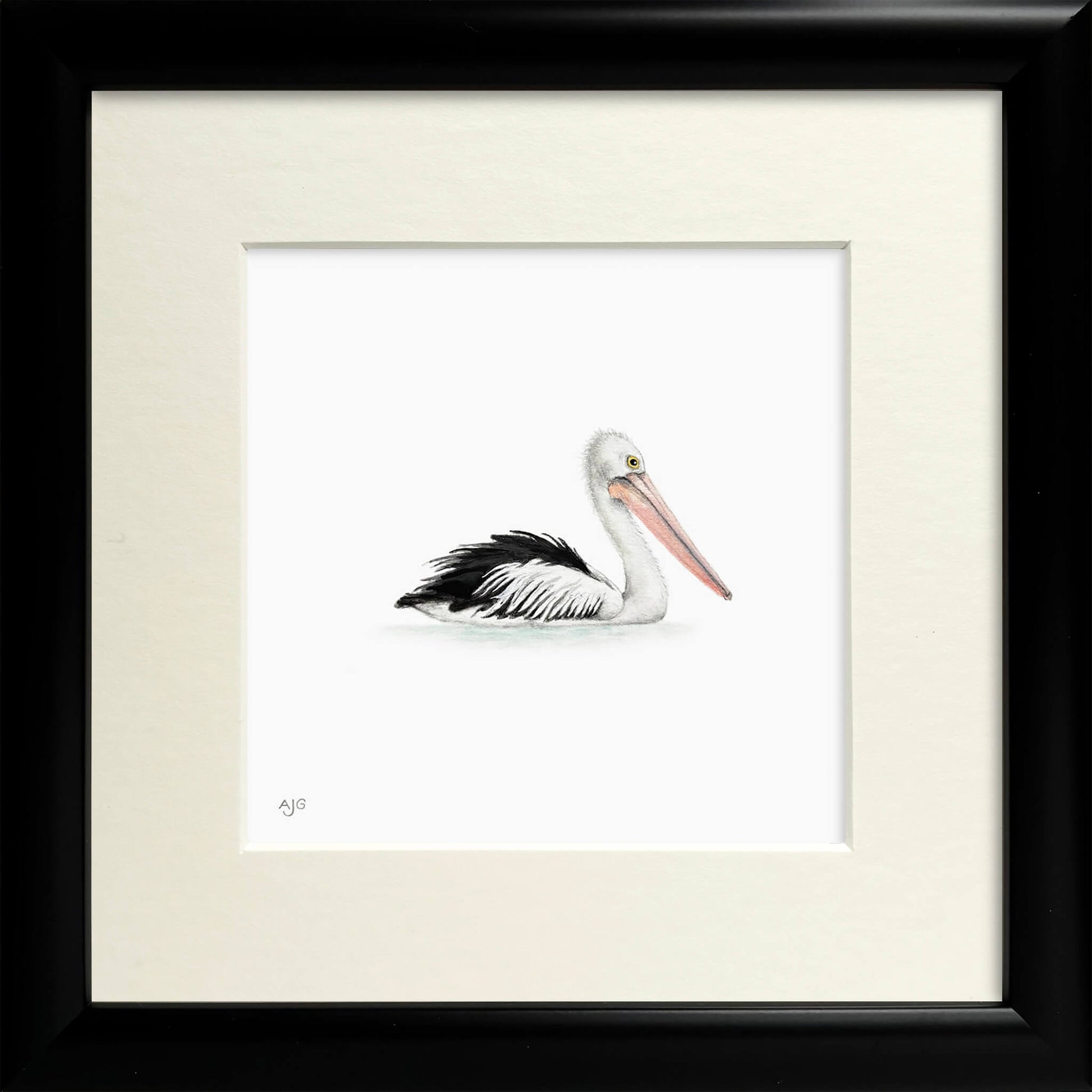 Framed painting of an Australian pelican