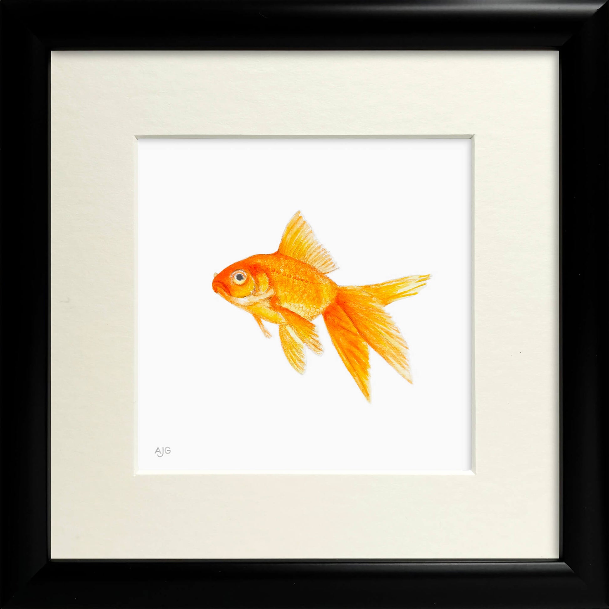 Framed artwork of a goldfish on a white background