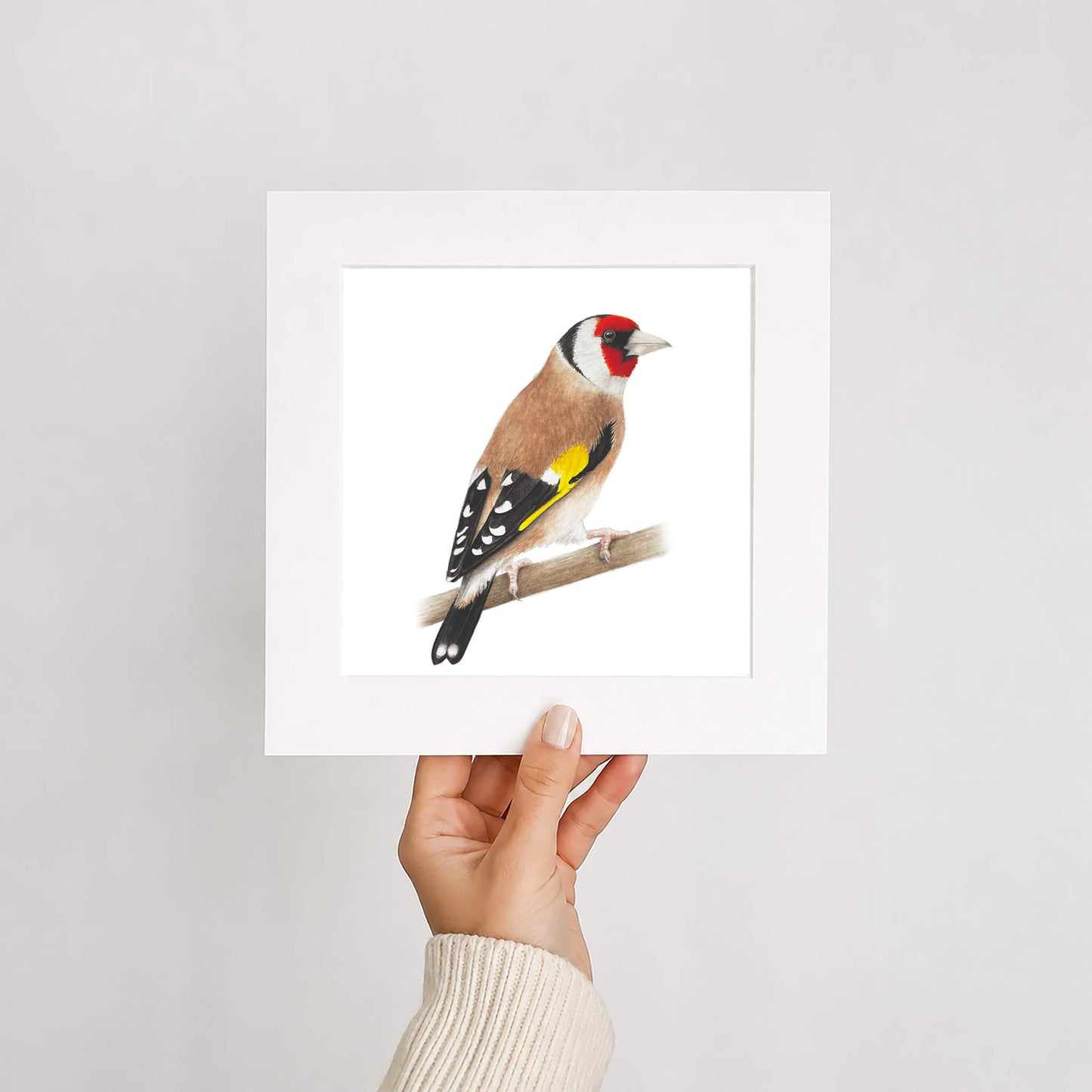 Hand holding a card with a goldfinch illustration on a white background