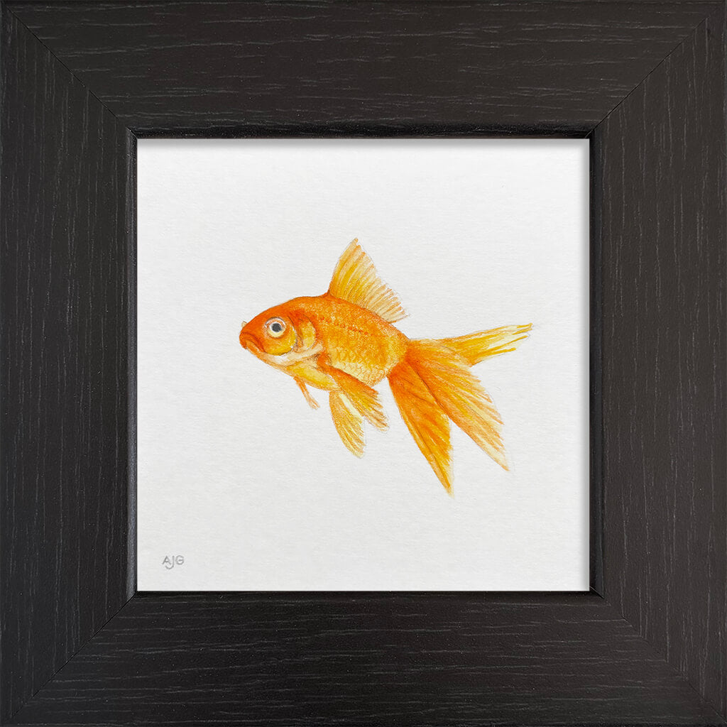 Framed artwork of a goldfish on a white background