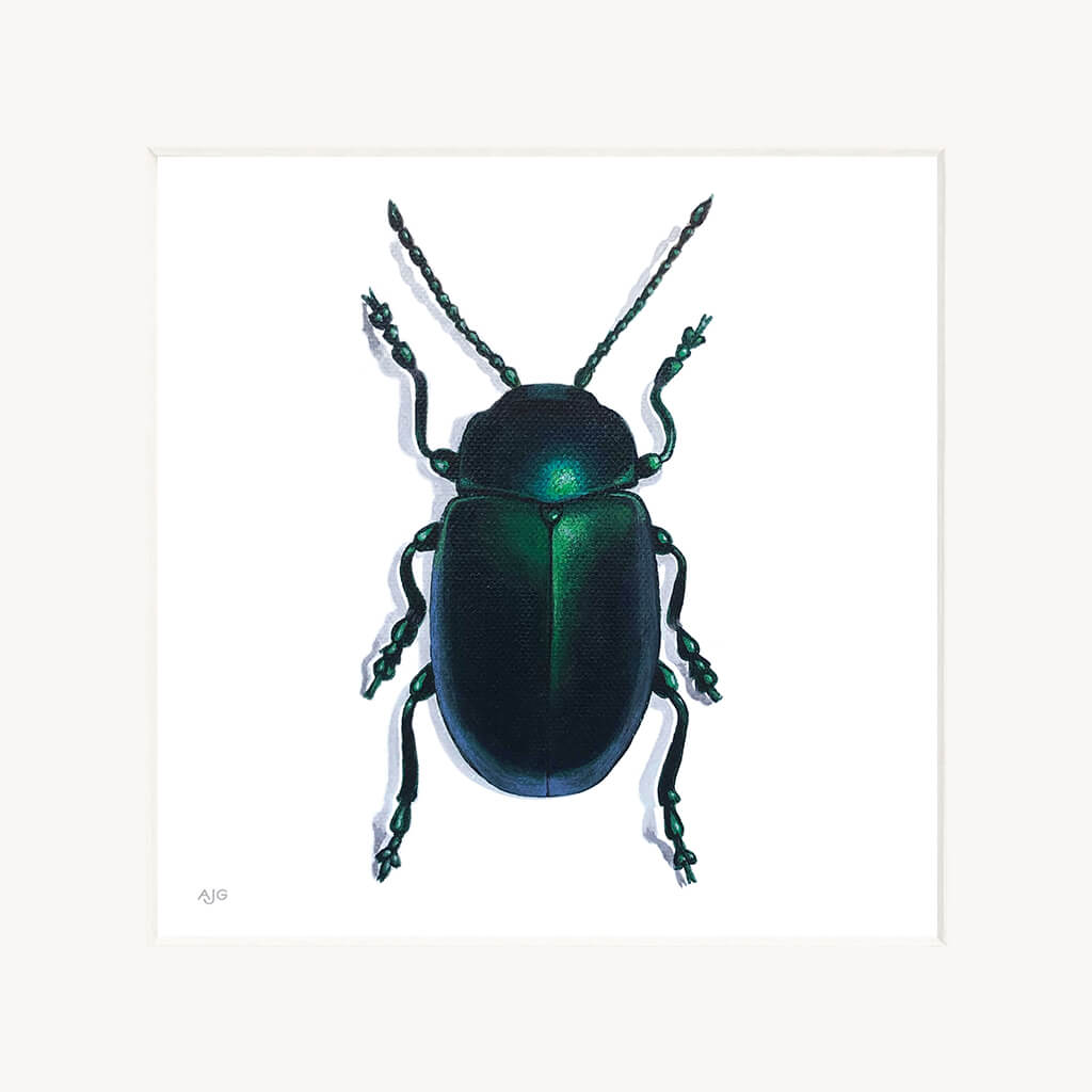 Mounted artwork of a green dock beetle on a white background
