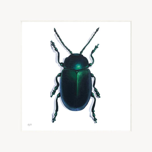 Mounted artwork of a green dock beetle on a white background