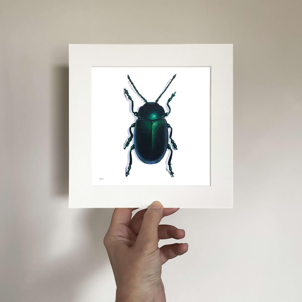 Mounted print of a green shiny beetle held by a hand against a plain background