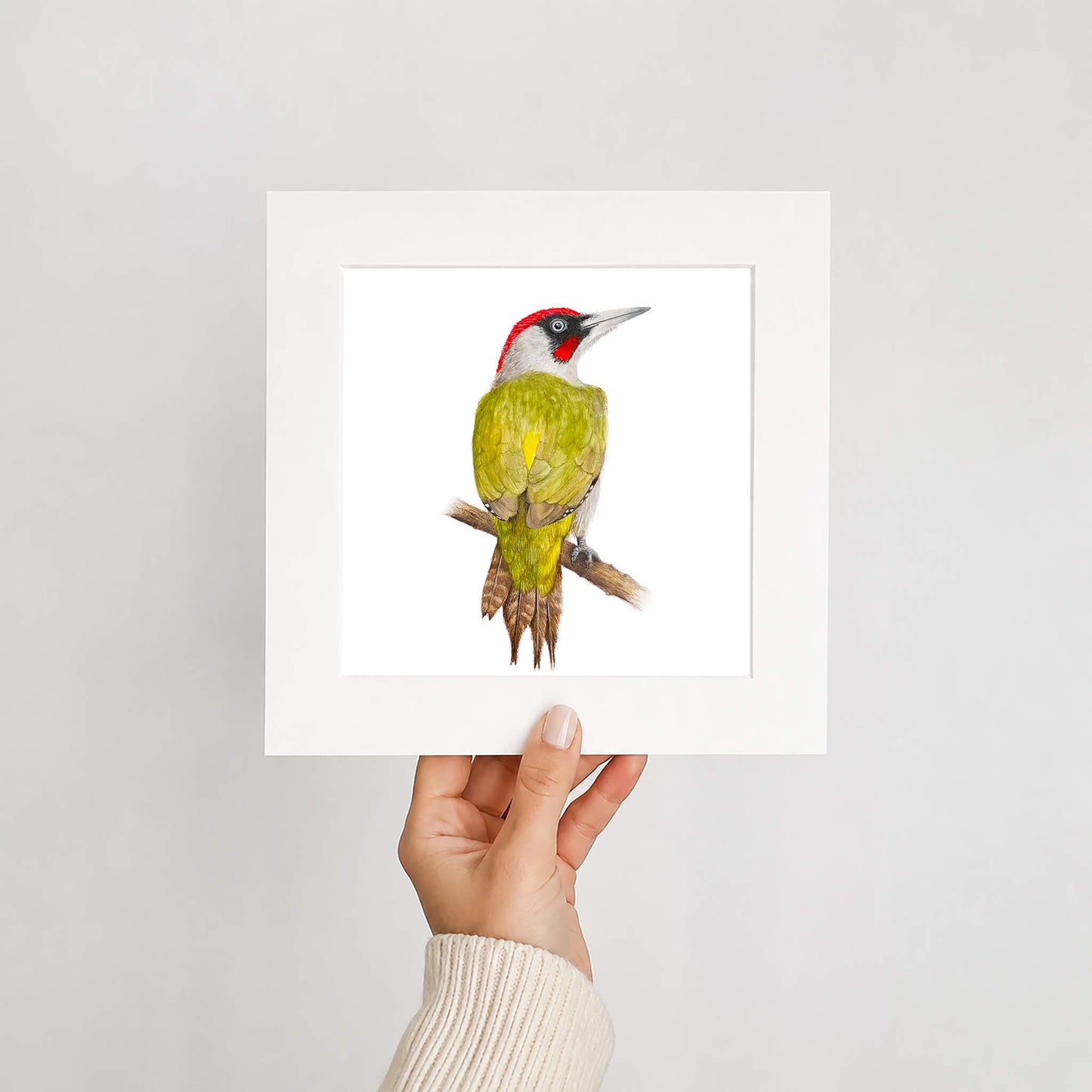Hand holding a mounted print of a green woodpecker bird against a white background