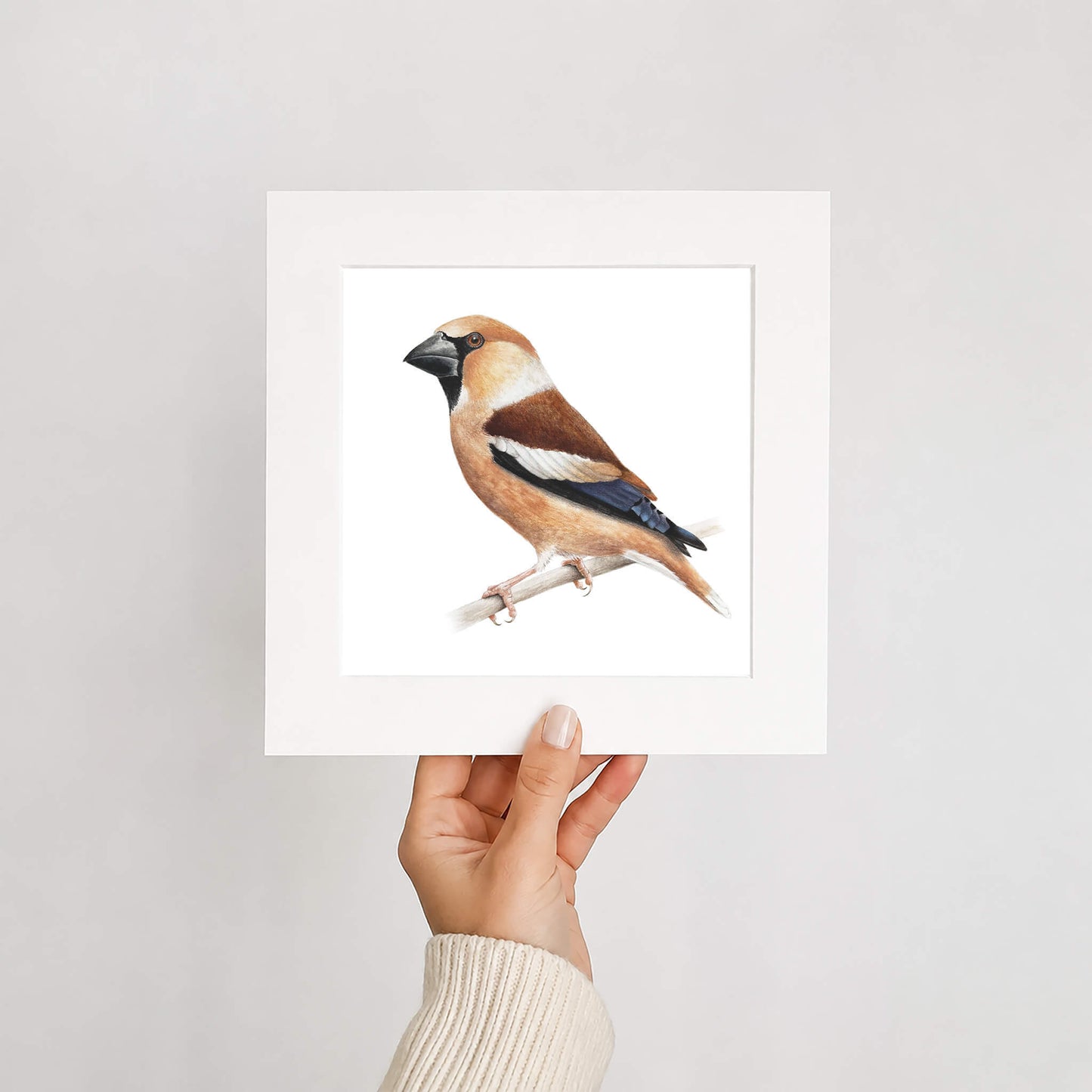 Hand holding a framed print of a hawfinch bird against a plain background