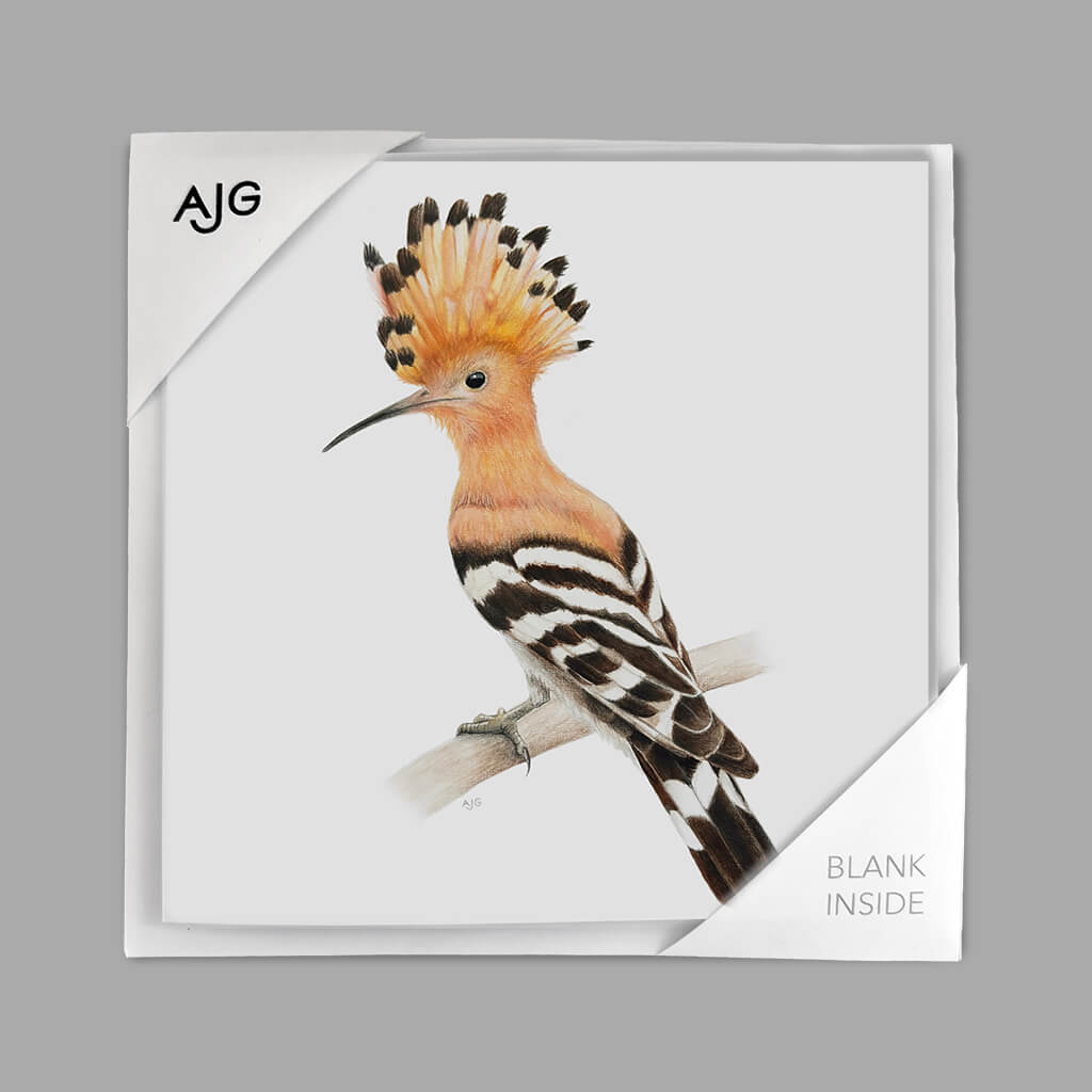 Card with a hoopoe bird illustration on a grey background