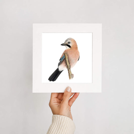 Hand holding a framed print of a jay bird on a white background