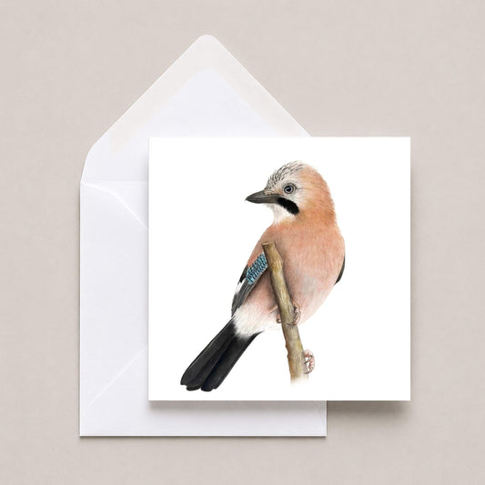Greetings card featuring a jay with a white envelope on a neutral background