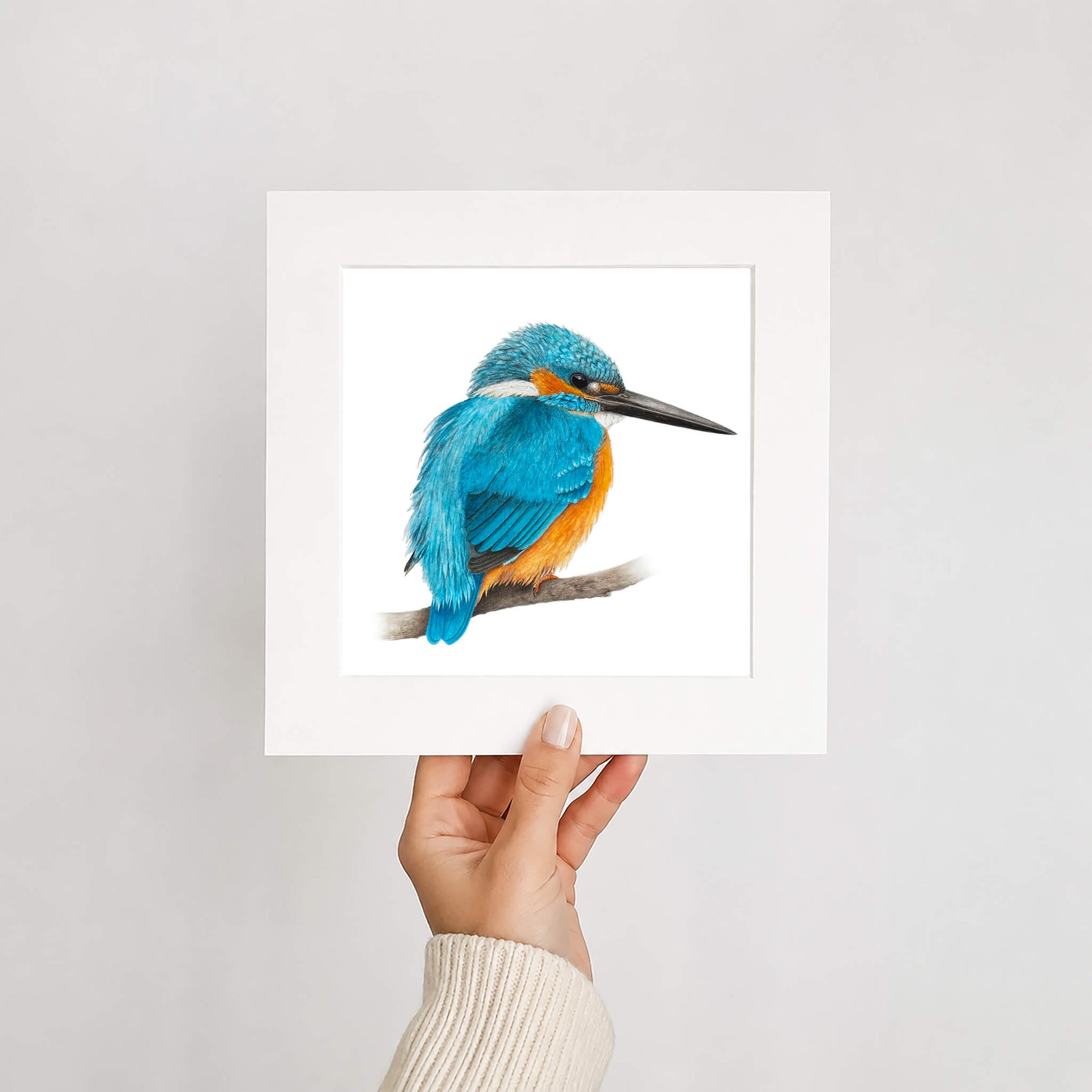 Hand holding a print of a blue and orange bird on a white background