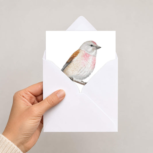A linnet greetings card in white envelope held by hand