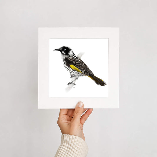 Hand holding a framed print of a honeyeater bird against a plain background