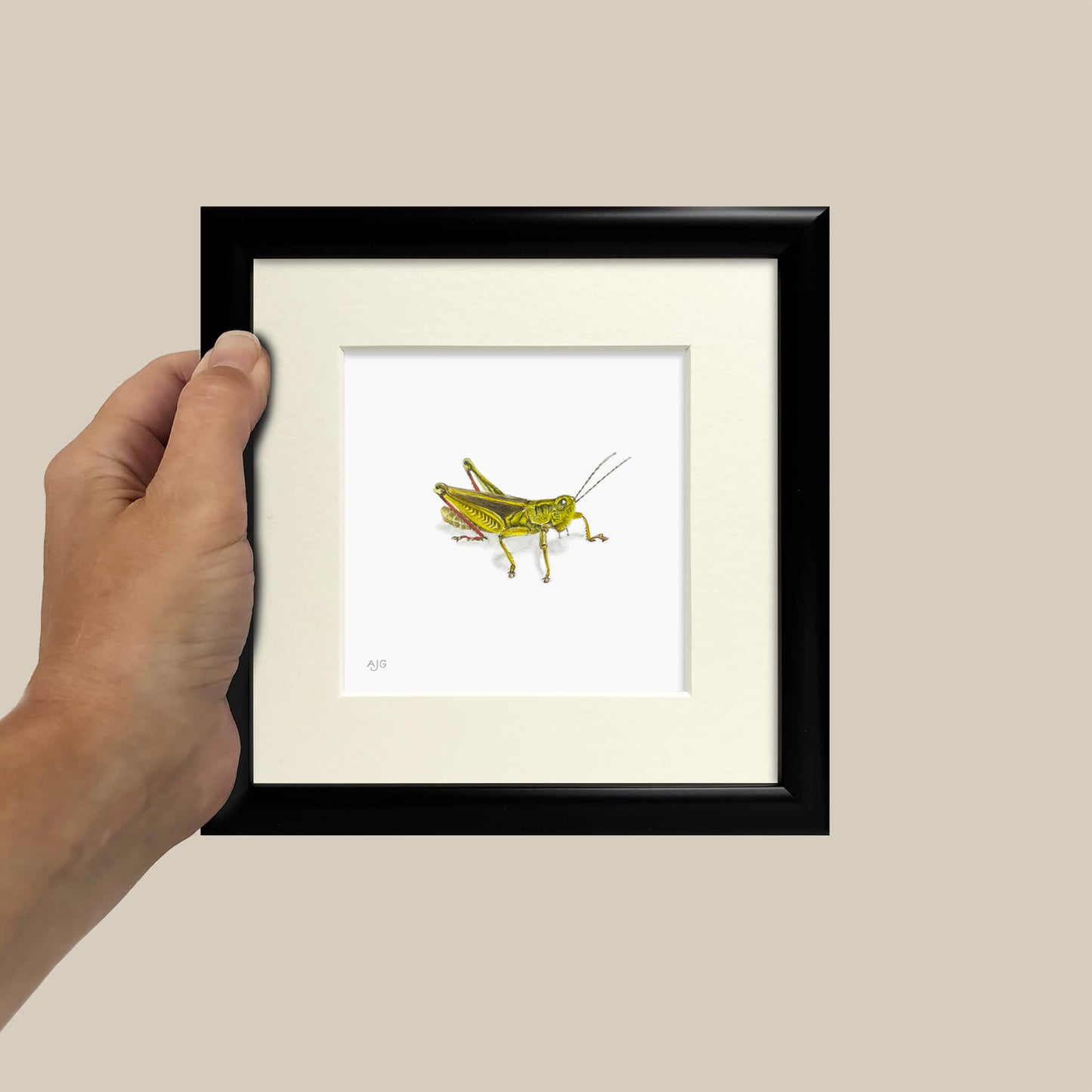 Framed artwork of a grasshopper held by a hand against a beige background