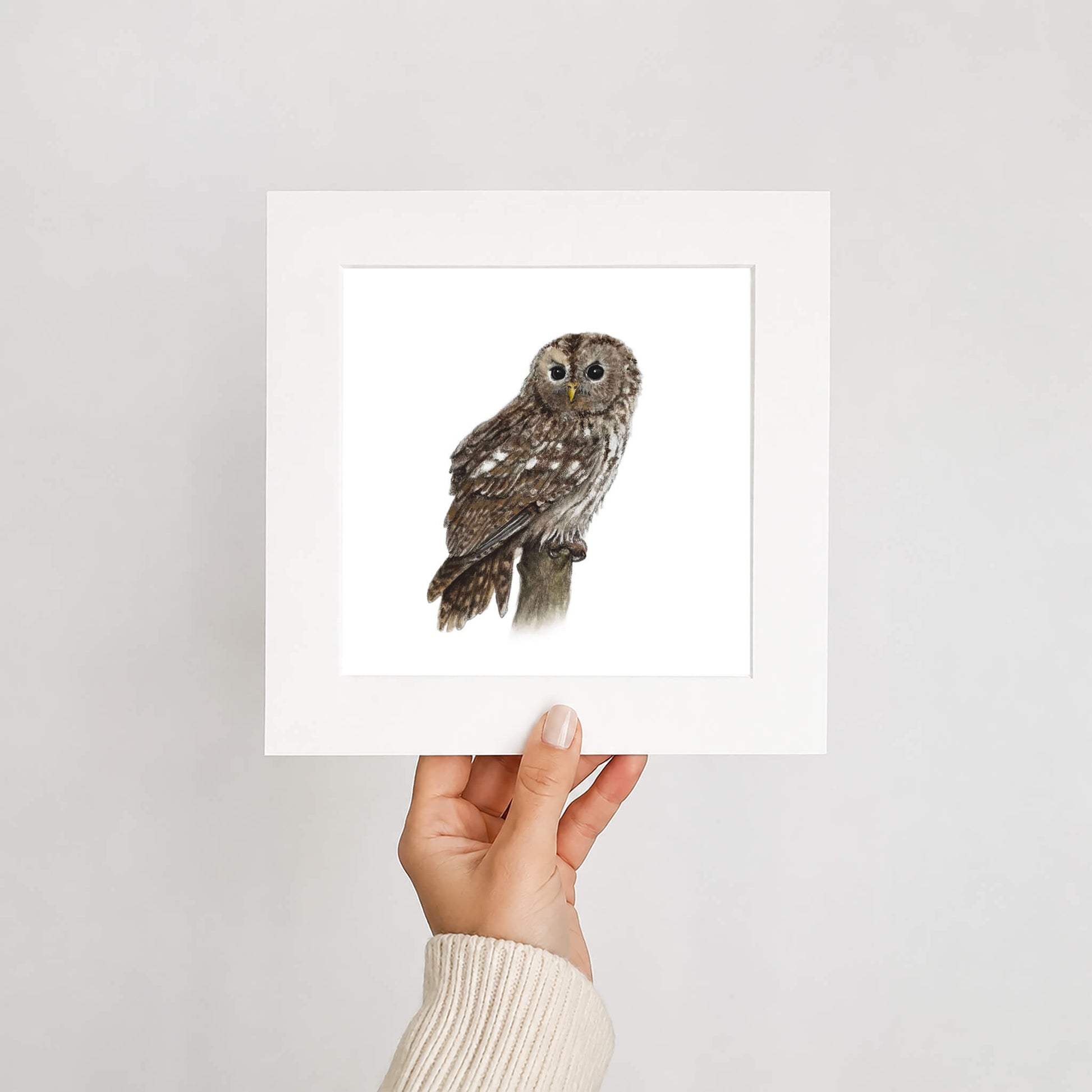 Hand holding a print of an owl against a plain background
