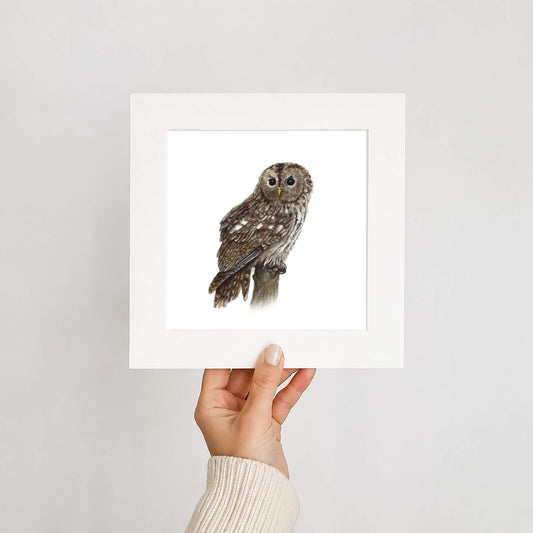 Hand holding a print of an owl against a plain background