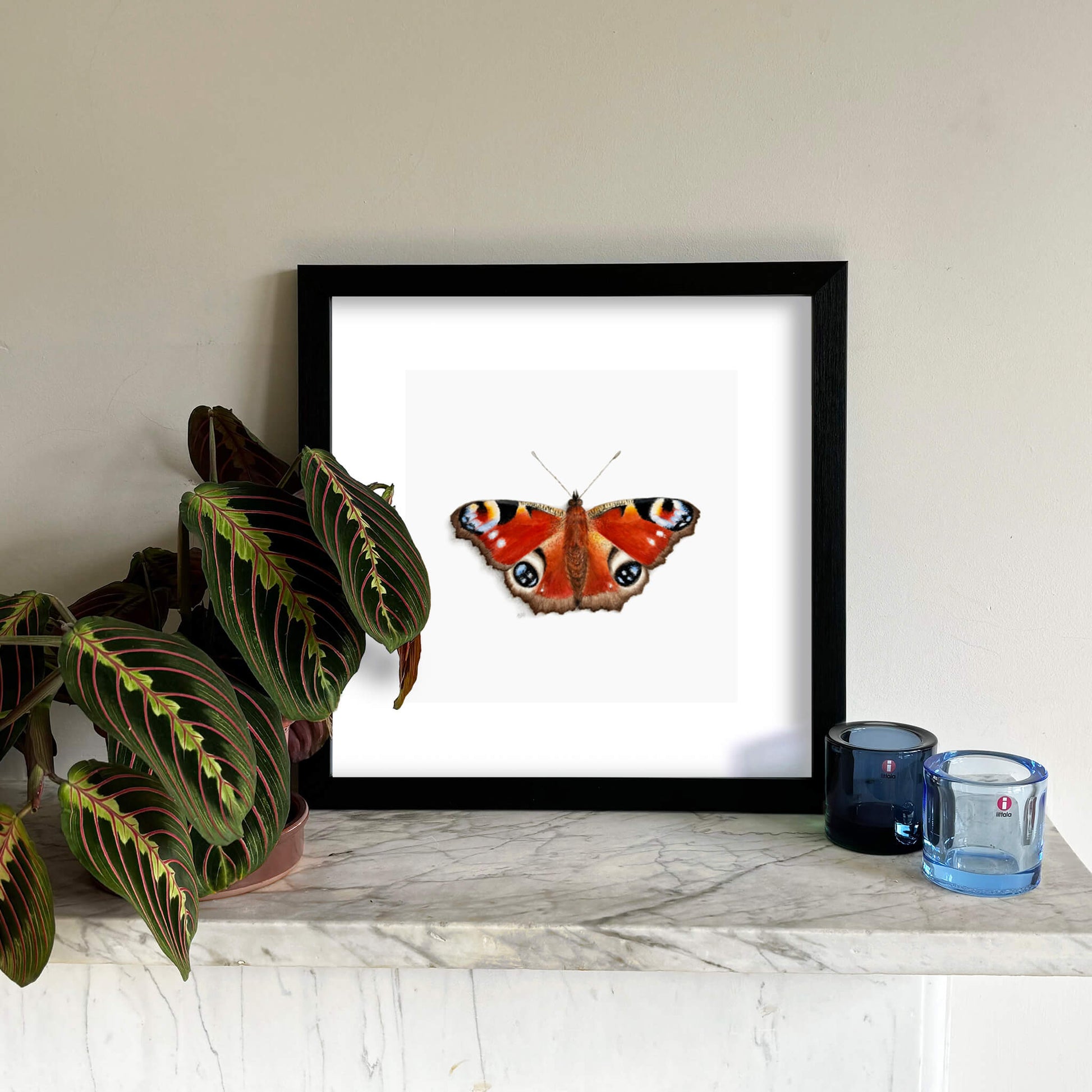 Peacock Butterfly giclee fine art print on paper of an insect on a light grey background. Image shows the print framed and in a room setting.