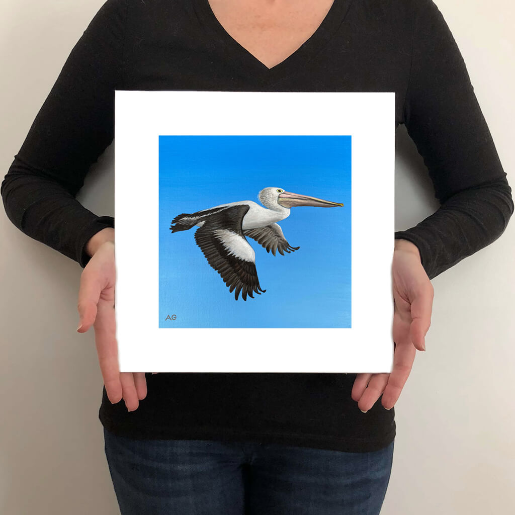 A giclée fine art print on paper of a pelican bird on a sky blue background. This image illustrates the print size.