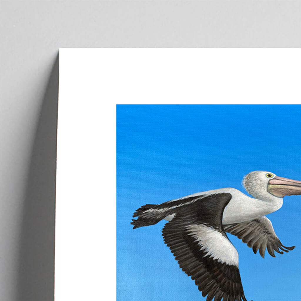 Giclée fine art print of a flying pelican on a sky blue background. This image shows a section, to highlight the detail.